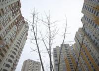 Новость Оформить документы на недвижимость в Украине стало проще Недвижимость