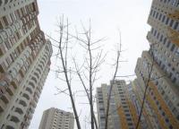 Новость Готовы к торгу Недвижимость