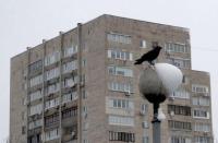 Новость В Украине замерли цены на недвижимость – эксперт Недвижимость