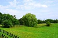 Новость Как бесплатно получить земельный участок? Недвижимость