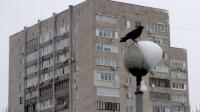 Новость Эксперт объяснил, есть ли смысл покупать квартиру в Украине до нового года Недвижимость
